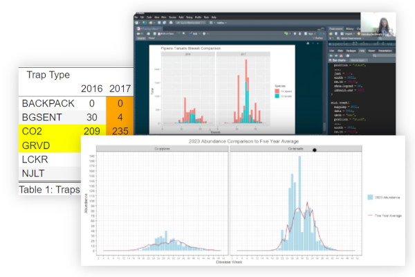 Sample R Visualizations